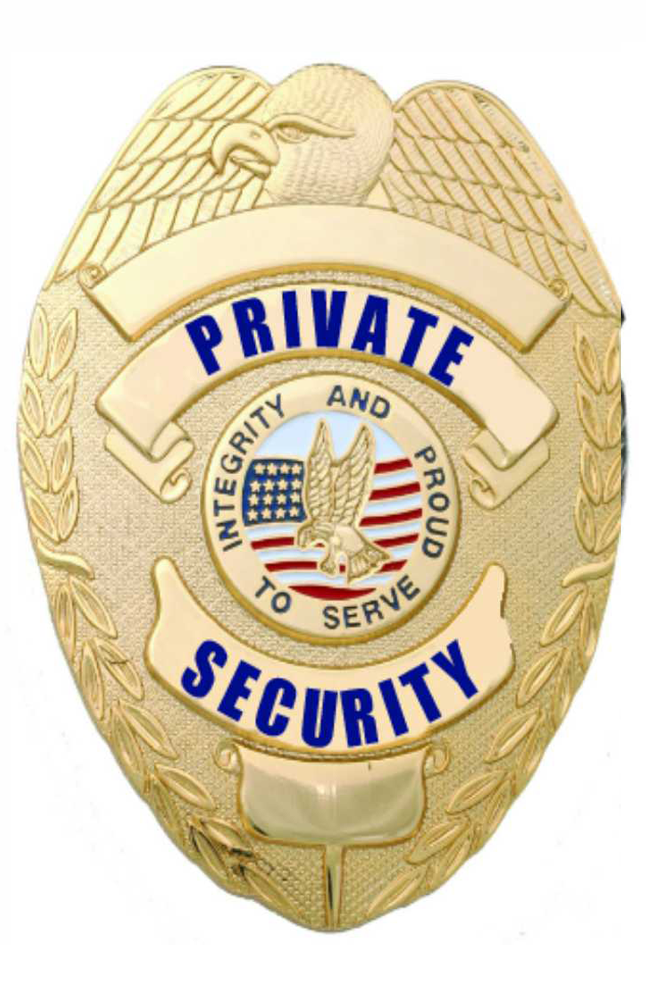 PRIVATE SECURITY GOLD EAGLE BADGE